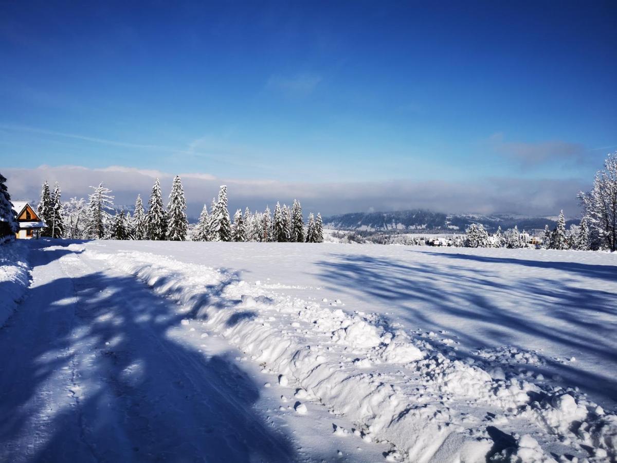 Heidi Villa Zakopane Dış mekan fotoğraf